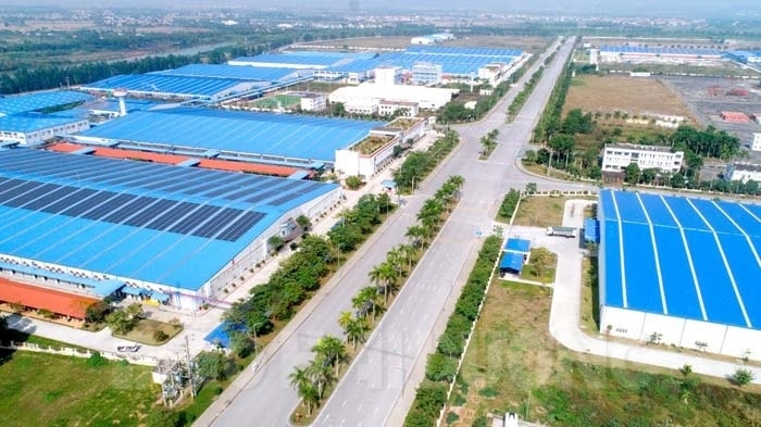 lai-vu-4.jpg