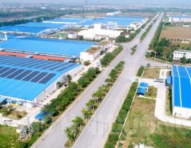 lai-vu-4.jpg
