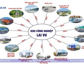 lai-vu-7.jpg