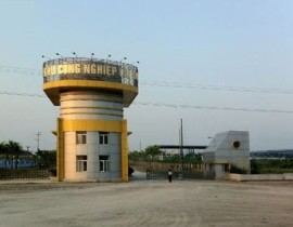 lai-vu-2.jpg